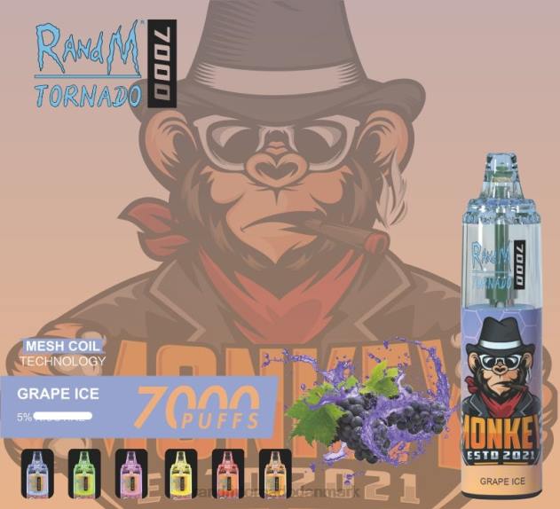 RandM disposable vape - RandM Tornado 7000 luftstrømskontrol vape enhed 1 stk blåbær på is L08B169