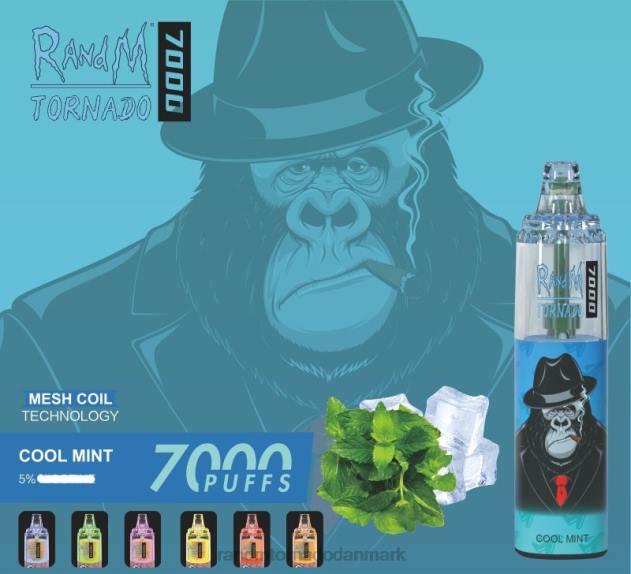 RandM disposable vape - RandM Tornado 7000 luftstrømskontrol vape enhed 1 stk blåbær på is L08B169