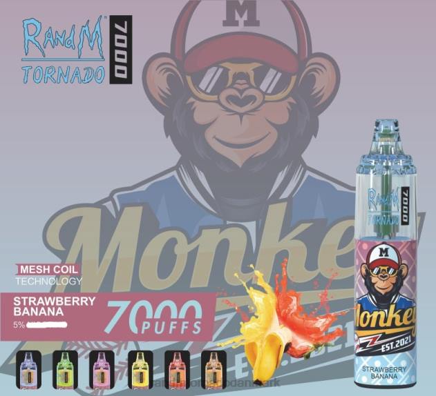 RandM disposable vape - RandM Tornado 7000 luftstrømskontrol vape enhed 1 stk blåbær på is L08B169