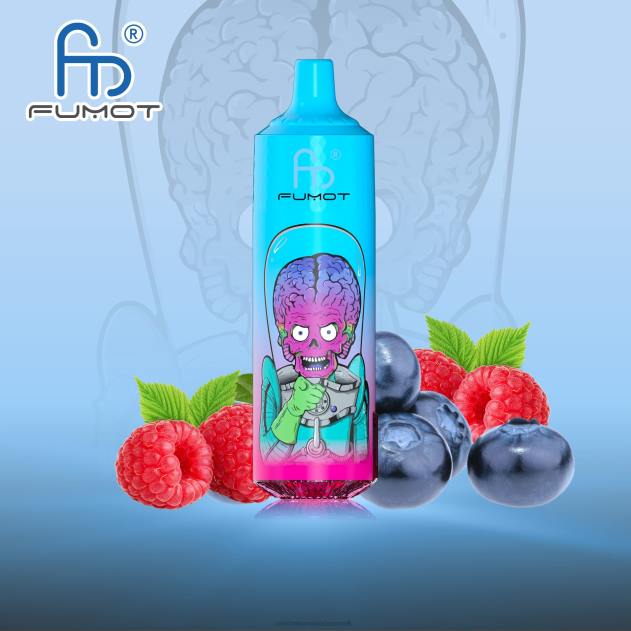 RandM vape buy online - Fumot RandM Tornado 9000 pro vape enhed med batteri og ejuice display version 1 blåbær hindbær L08B186